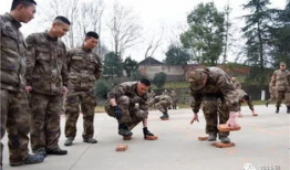 摸石头过河游戏视频,挑战与智慧的较量